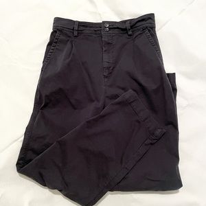 Everlane Pleated Chino